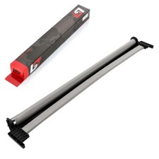 Rollo Panoramadach elektrisch